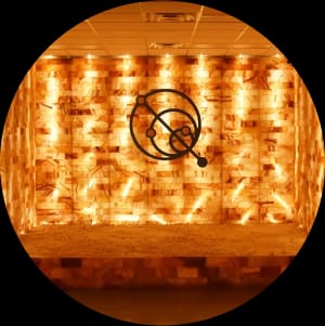 The Halo Sanctuary salt wall